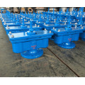 Ductile iron automatic double orifice air release valve